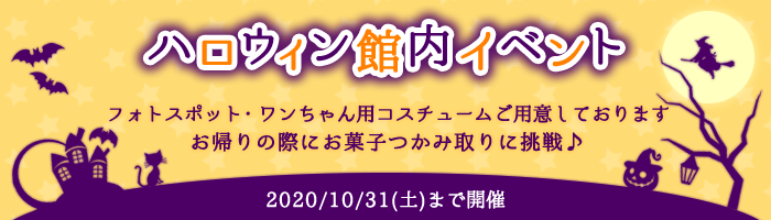 ハロウィン館内イベント