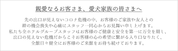 代表メッセージ